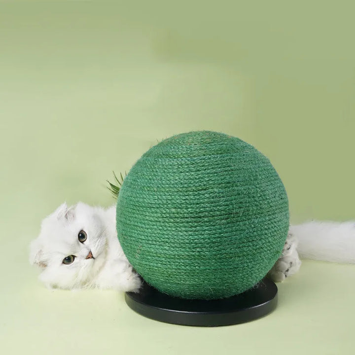 Close-up of a cat's paws on a sisal scratching ball, an essential pet toy for claw maintenance.