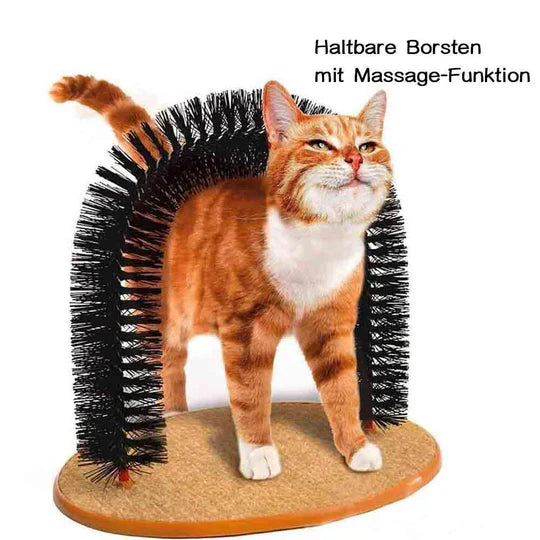 Cat self-grooming arch massager with soft brushes for pet hair removal and fur care