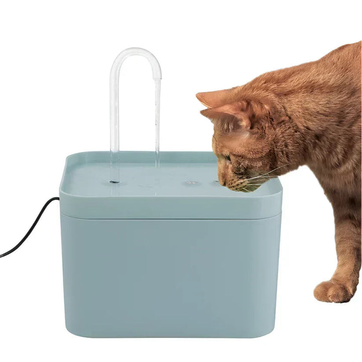 Pet hydration system: 2L cat water fountain with LED, quiet operation, and filtered water for happy cats.
