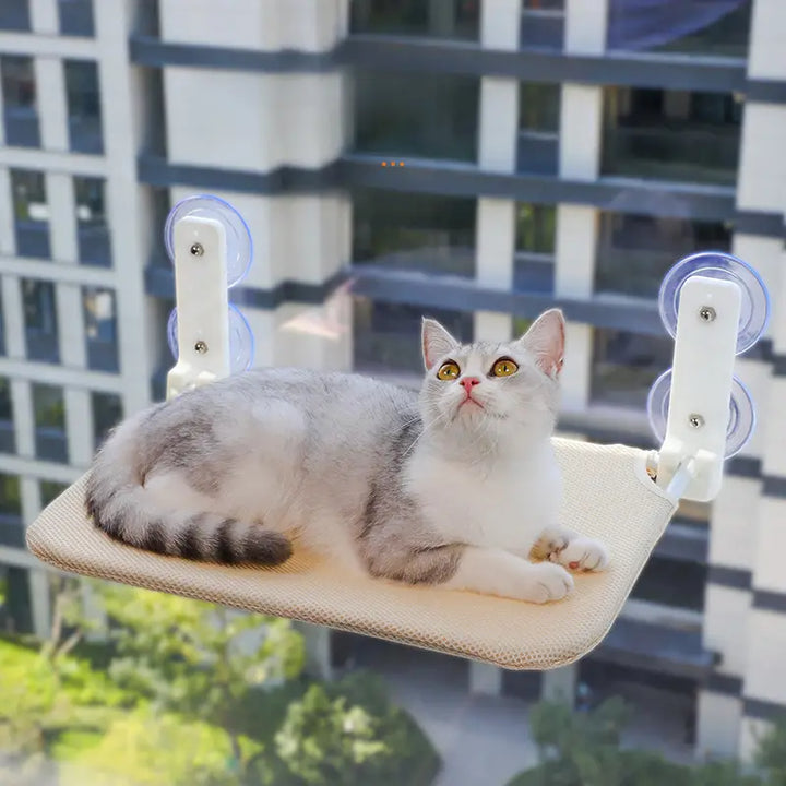 White cat lounging on a window-mounted cat bed, enjoying the view from its secure cat hammock.