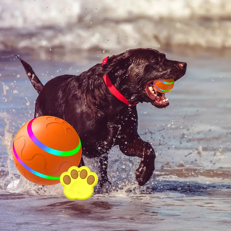 Close-up of interactive pet play ball, colorful design, perfect for active dogs