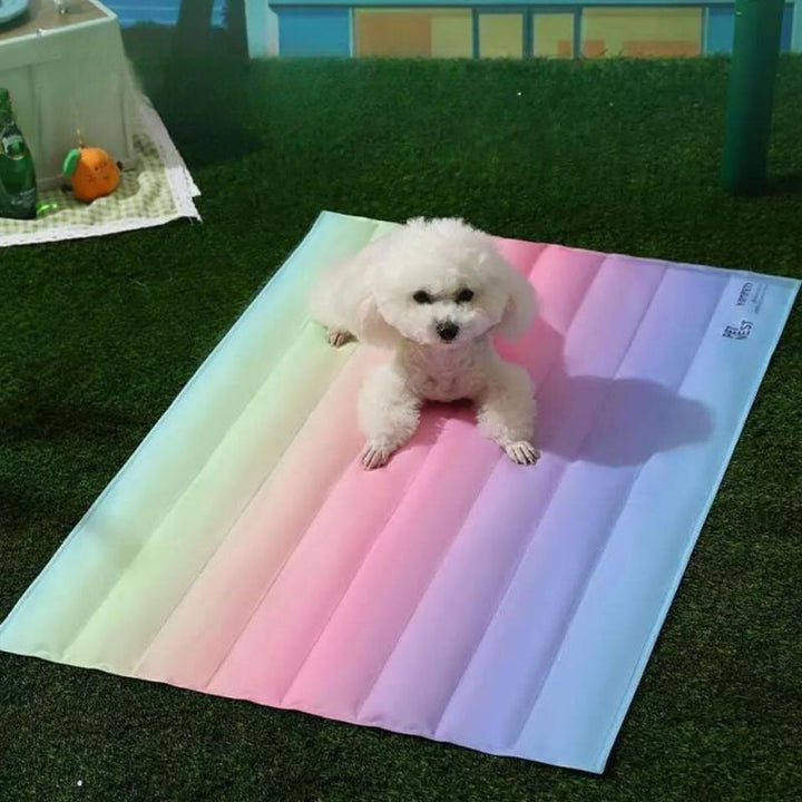 Pet Rainbow Gradient self-cooling bed; comfort mat for cats and dogs, easy to maintain