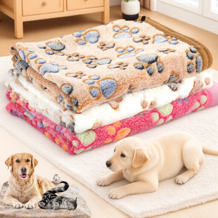 Close-up of a luxurious coral fleece pet blanket, highlighting its soft, cozy material for ultimate pet comfort.