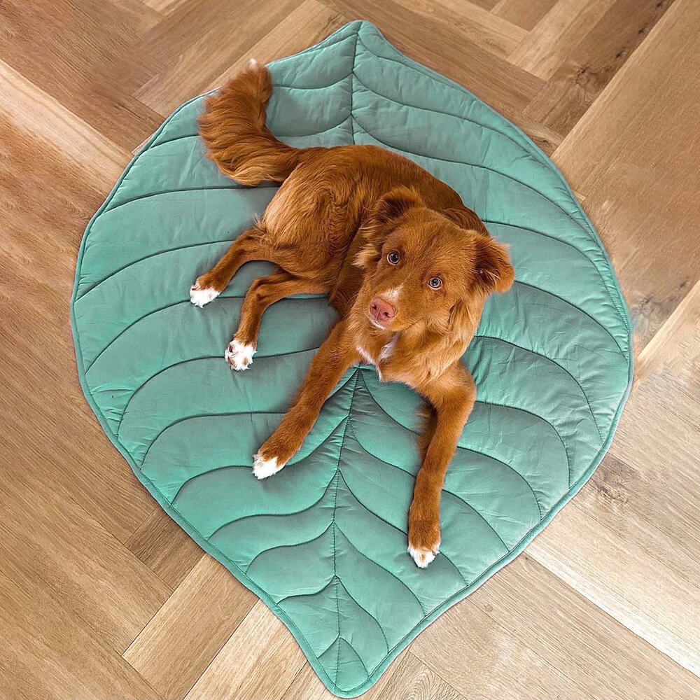 Warm pet blanket with unique leaf pattern, ideal dog bed or cat mat for ultimate pet comfort.