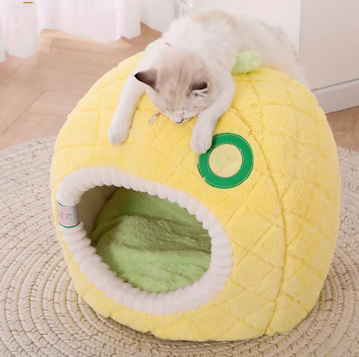 Vibrant pineapple themed cat bed, a comfortable and stylish sleeping cave for small pets.