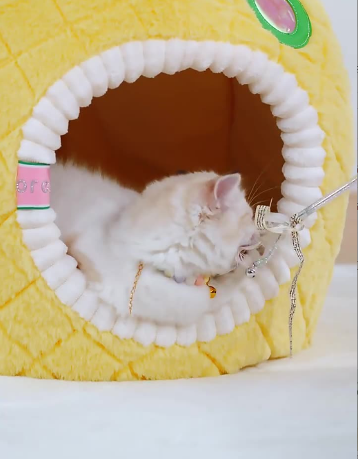 Plush pineapple cat cave, an inviting and cozy pet bed for cats seeking warmth and security.