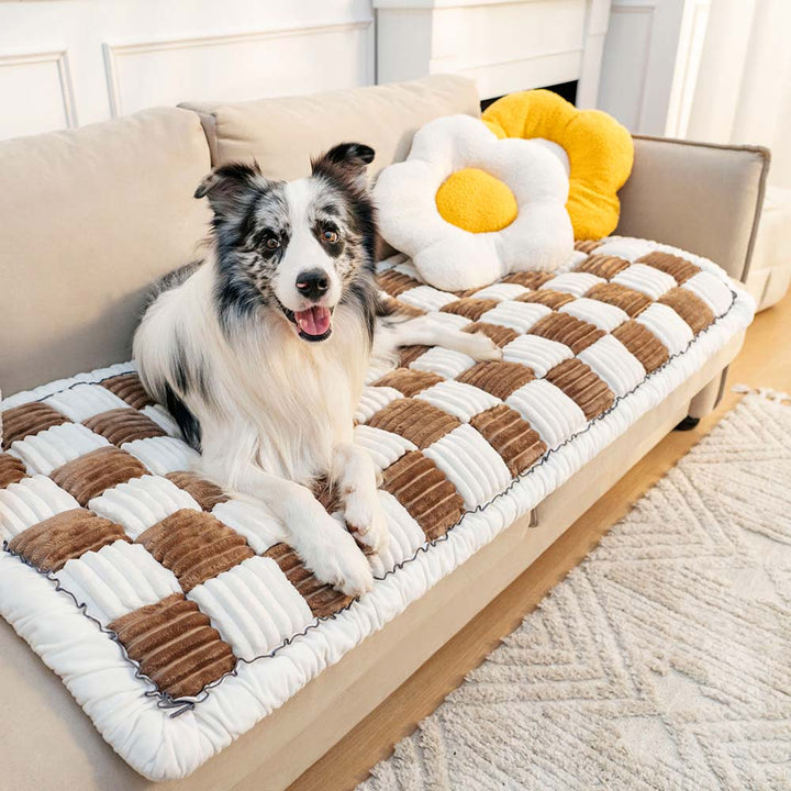 Cream fuzzy chenille pet couch cover, plaid pattern, adds a touch of home decor style