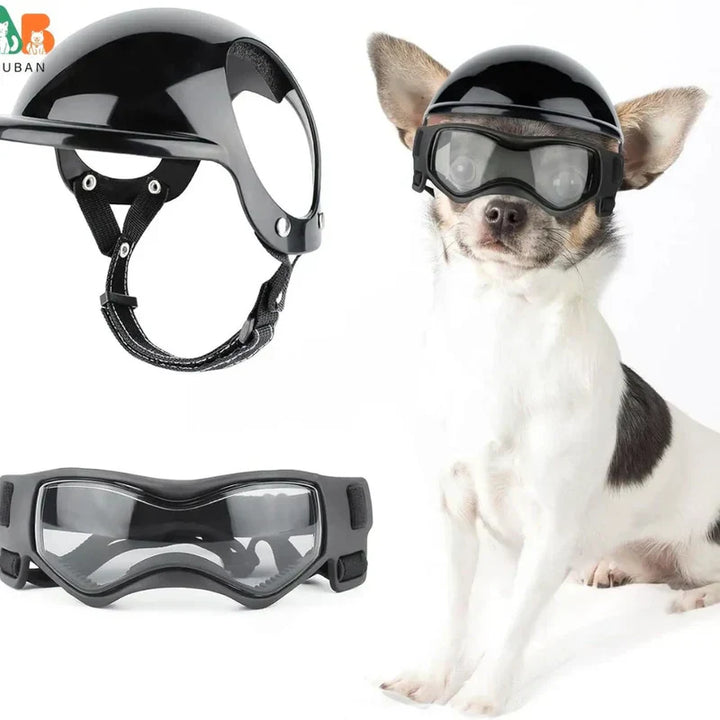 Adventure dog wearing blue helmet with goggles, perfect for pet eye protection