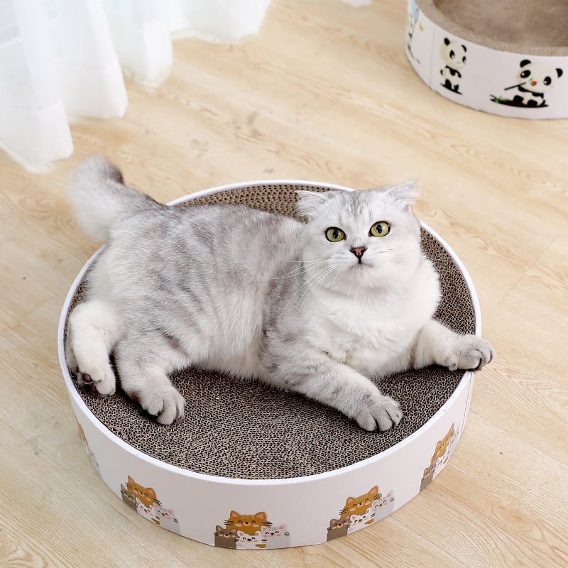 Cute round cat scratching mat, durable sisal surface for claw care, protects furniture.