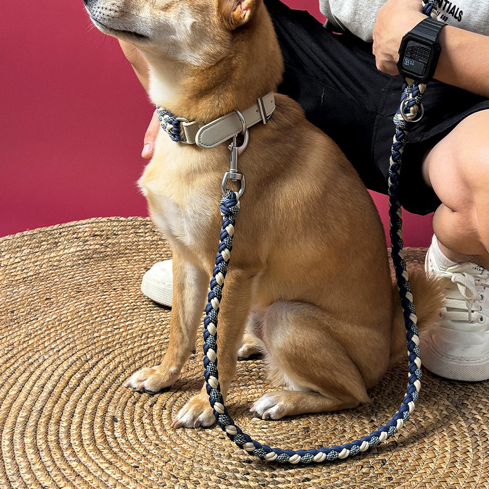 Hand-woven dog collar and leash set in natural hemp rope, anti-pull design with sturdy faux leather accents for pets