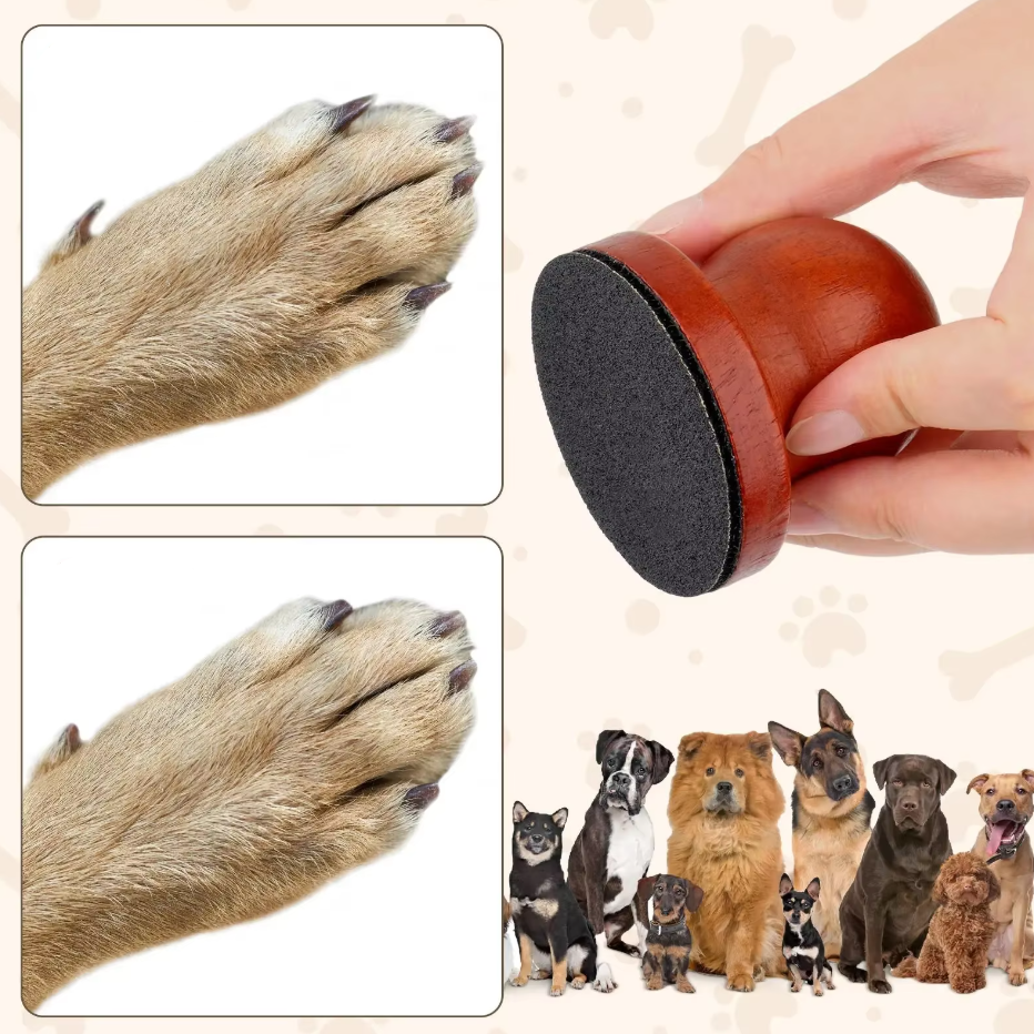 Dog Claw Polisher in hand, demonstrating gentle paw care for pet health