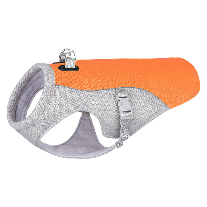 Dog apparel for summer heat, a cooling vest with reflective detailing for safety.
