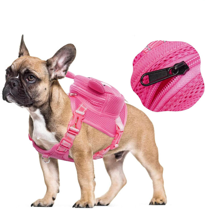 Close-up of D-ring on no-pull dog harness, ideal for outdoor adventures