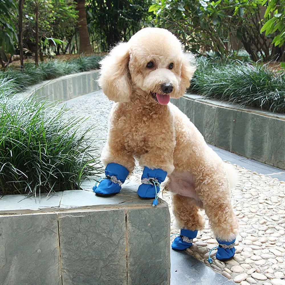 Dog paw protector boots, waterproof for winter adventures, with anti-slip soles for pet comfort and outdoor dog safety.