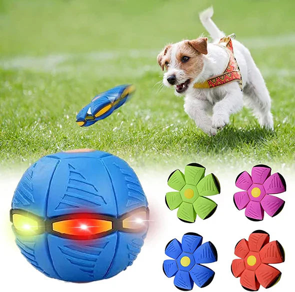 Dog Pop-Up Disc Ball, transforming chew toy for interactive outdoor play & pet enrichment