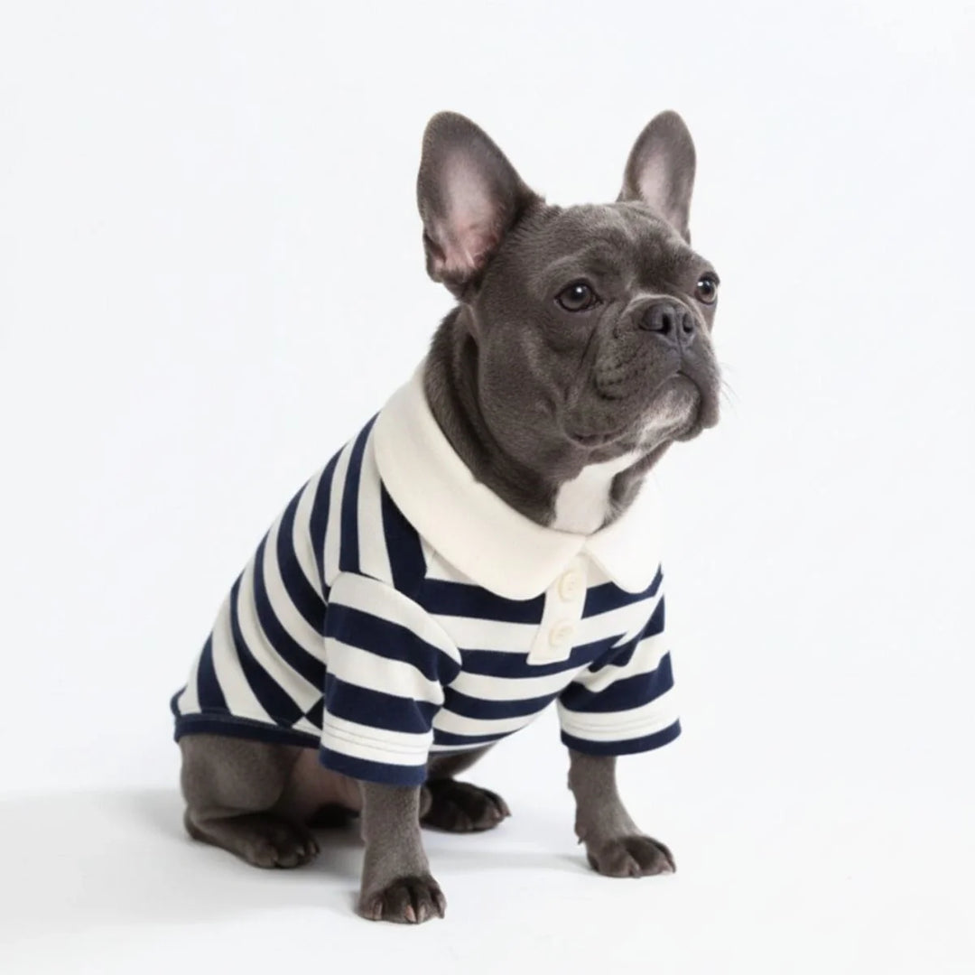 Dog striped polo shirt in red and white, comfortable pet apparel for small dogs.