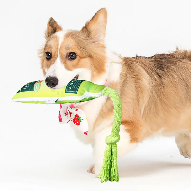 Dog toy fruit jam squeaky rope for chewing, durable pet dental health chew toy