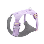 Crockery purple