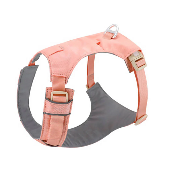 Close-up of a comfort fit dog harness on a golden retriever, attached to an adjustable leash.