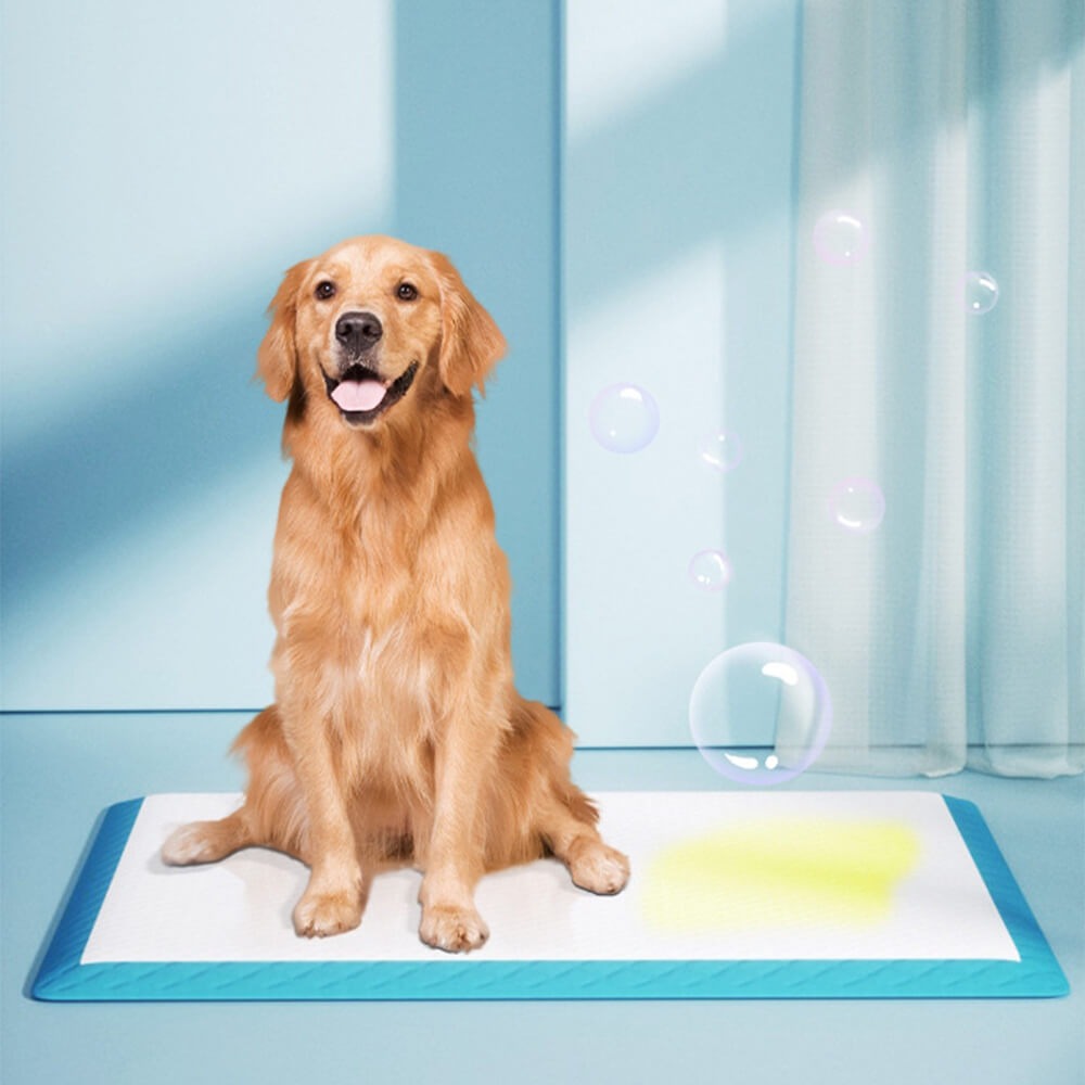 Absorbent, leak-proof pet training pads for puppies & dogs. Essential for indoor pet hygiene & home cleanliness.