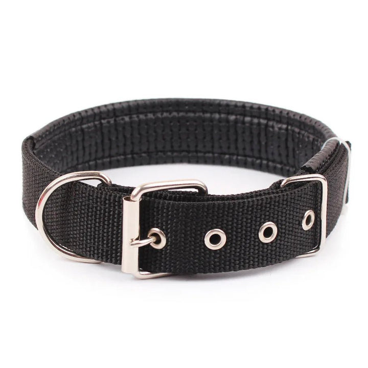 Durable black nylon dog collar, adjustable for snug fit, comfortable pet accessories.