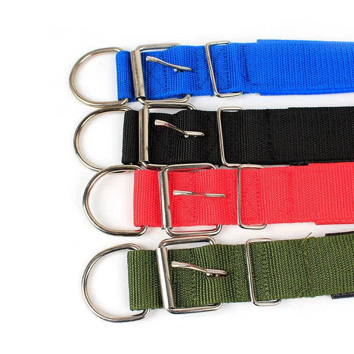Brown nylon dog collar, adjustable for comfort, essential pet accessory for walks.