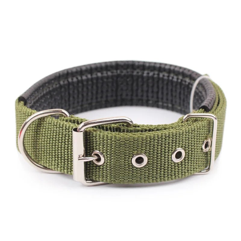 Robust purple nylon dog collar, adjustable for a perfect fit, reliable pet gear.