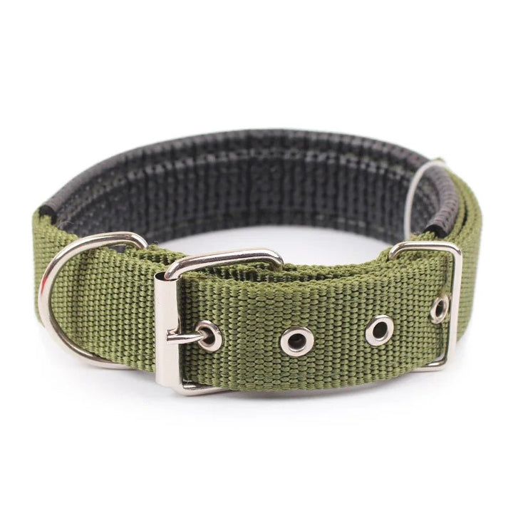 Robust purple nylon dog collar, adjustable for a perfect fit, reliable pet gear.