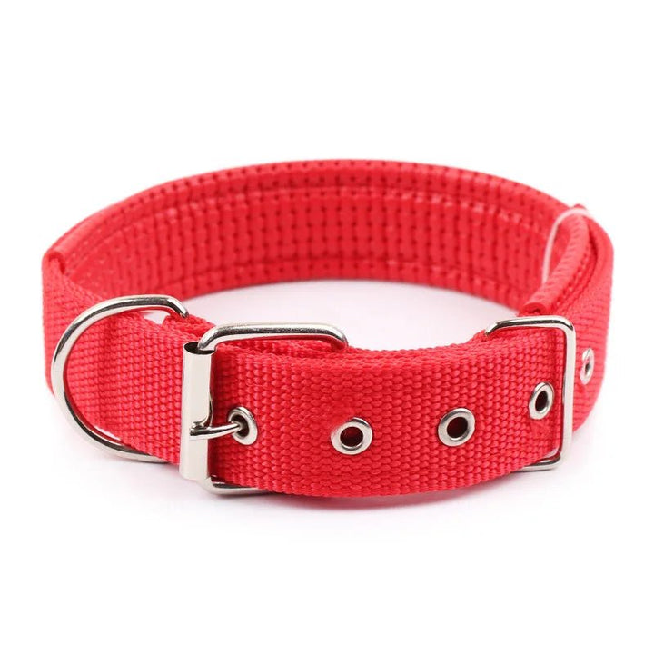 High-quality gray nylon dog collar, adjustable and comfortable, essential dog supplies.