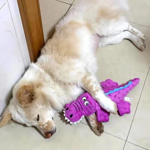 Aggressive chewer crocodile plush squeaky dog toy made from durable pet-safe material.