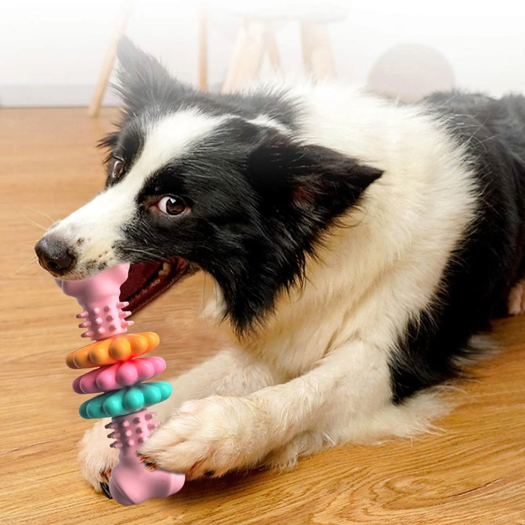 Durable dog chew toy with built-in teethers for dental care and interactive play, suitable for puppies.