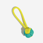 Yellow + Green