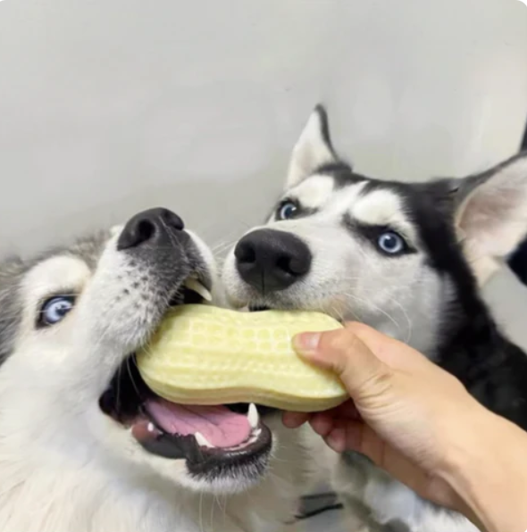 Durable peanut-shaped dog chew toy for dental health, pet supplies.