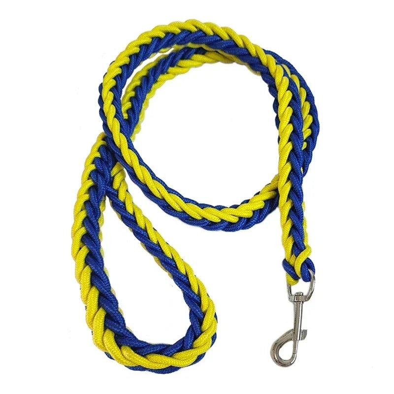Close-up of the high-quality nylon webbing of a durable dog leash, pet control.
