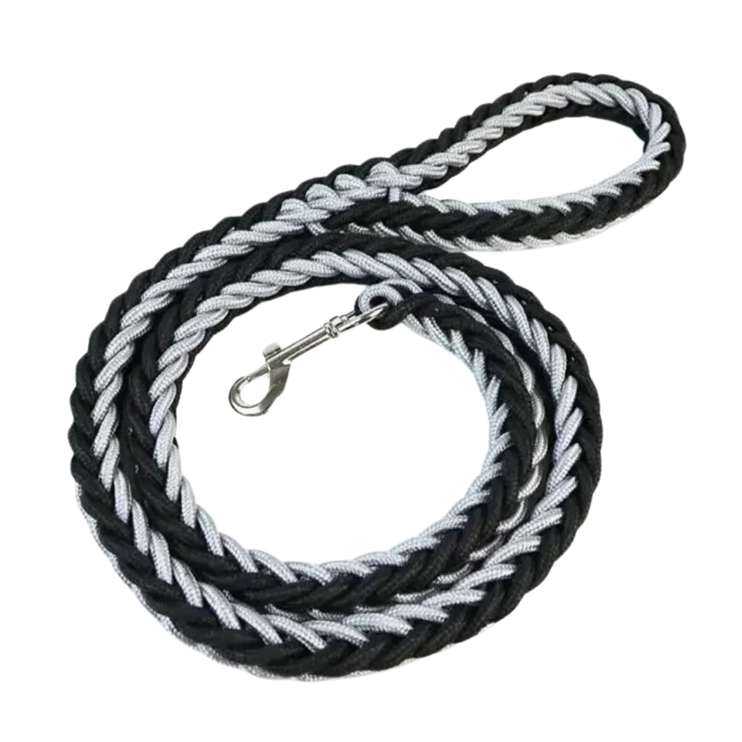 Heavy-duty D-ring attachment point on a black nylon dog leash for training lead.