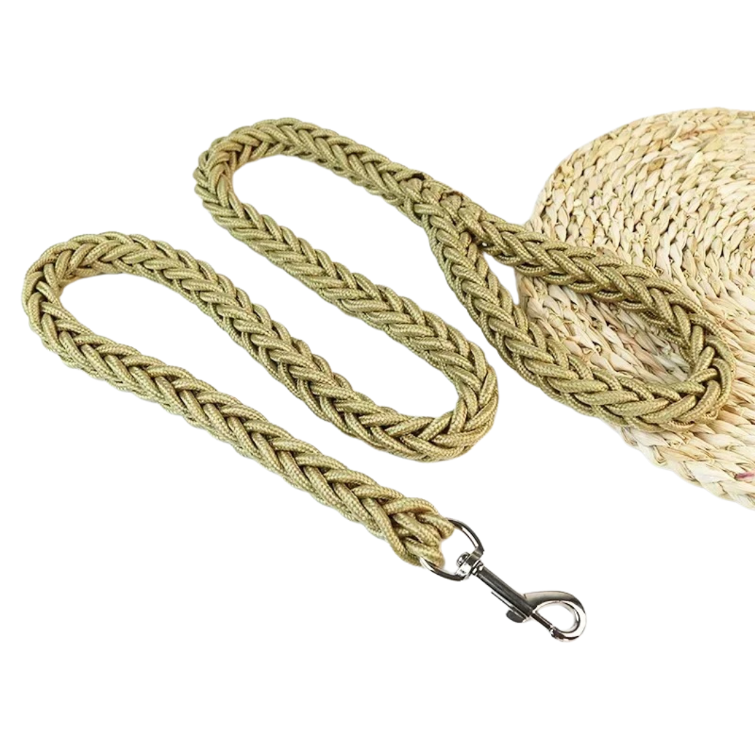 Unisex durable pink nylon dog leash, perfect pet control for lively medium dogs.