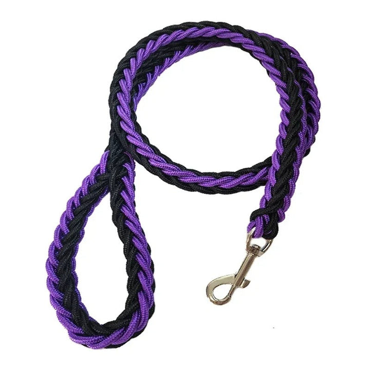 Collection of durable nylon dog leashes in various colors, essential active dog supplies.