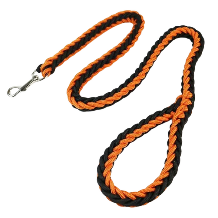 Reflective durable black nylon dog leash, ensuring visibility for large dog walks.