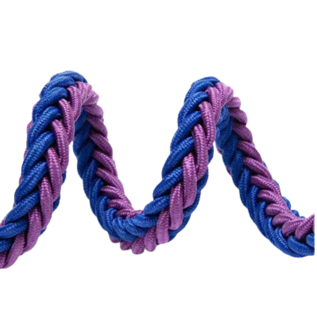 Royal blue nylon dog leash, strong and reliable pet control for medium to large breeds.