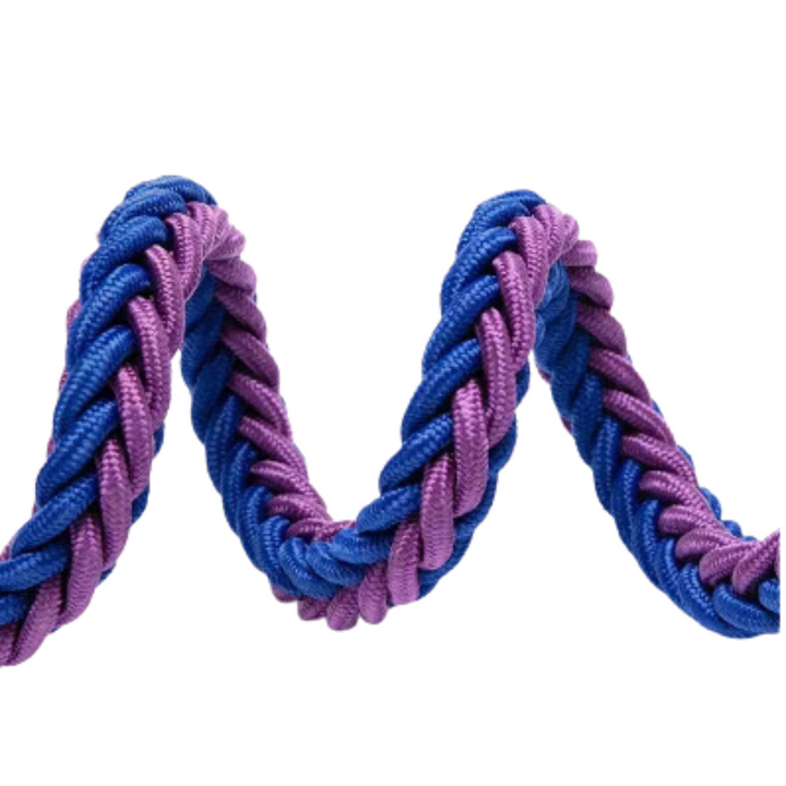 Royal blue nylon dog leash, strong and reliable pet control for medium to large breeds.