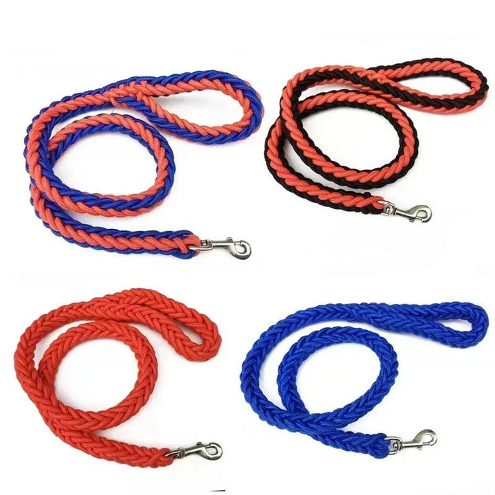 Owner's hand holding a comfortable, durable orange nylon dog leash, active dog supplies.