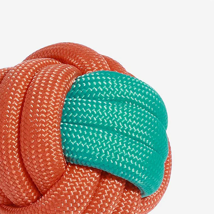 Dog dental health rope toy, durable and knotted, promoting clean teeth during tug play