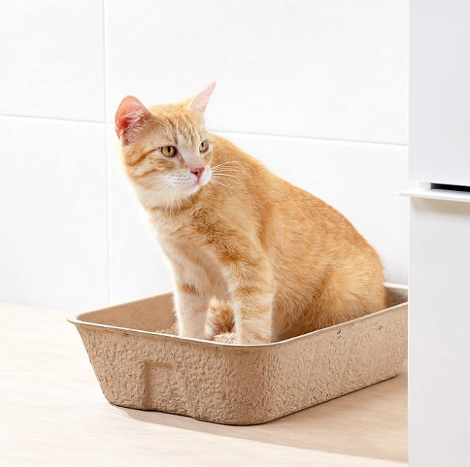 Eco-friendly biodegradable cat litter box for sustainable pet hygiene, made from natural materials.