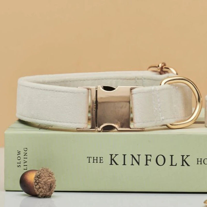 Personalized pet ID collar made from soft velvet, paired with a resilient matching leash for pets.