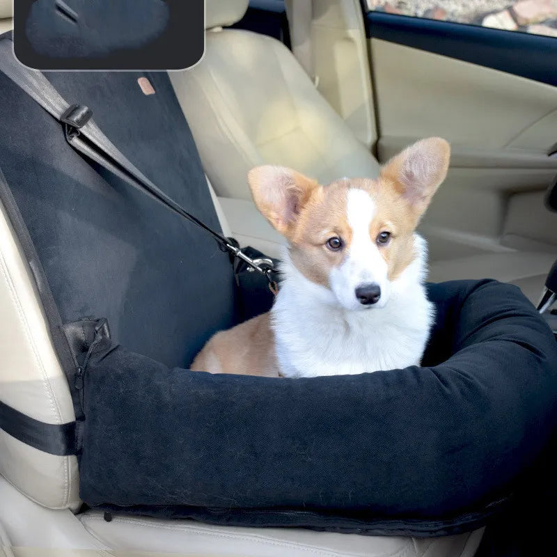 Elevated dog car seat booster with securing straps for safe pet travel in vehicles.