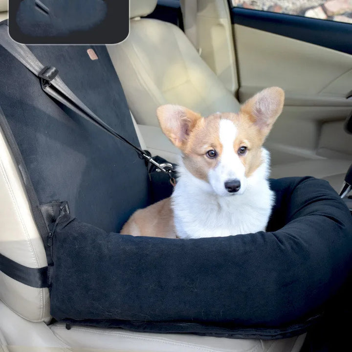 Elevated dog car seat booster with securing straps for safe pet travel in vehicles.