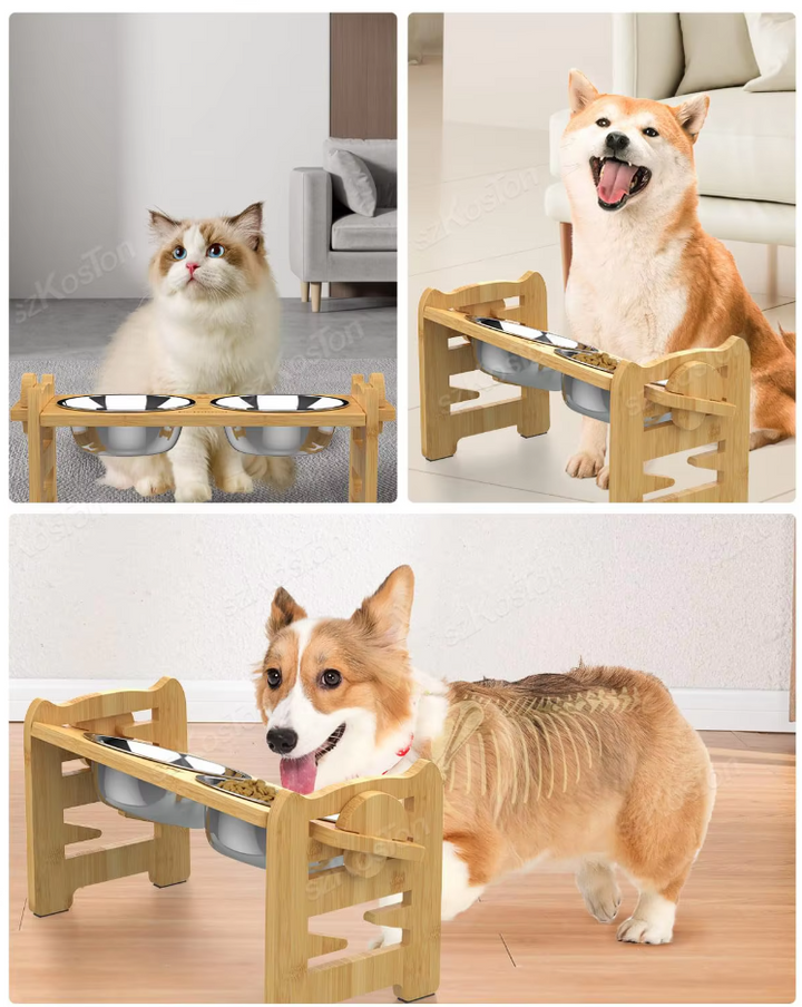 Elevated pet feeding station with two stainless steel bowls, adjustable for small to large dogs or cats.