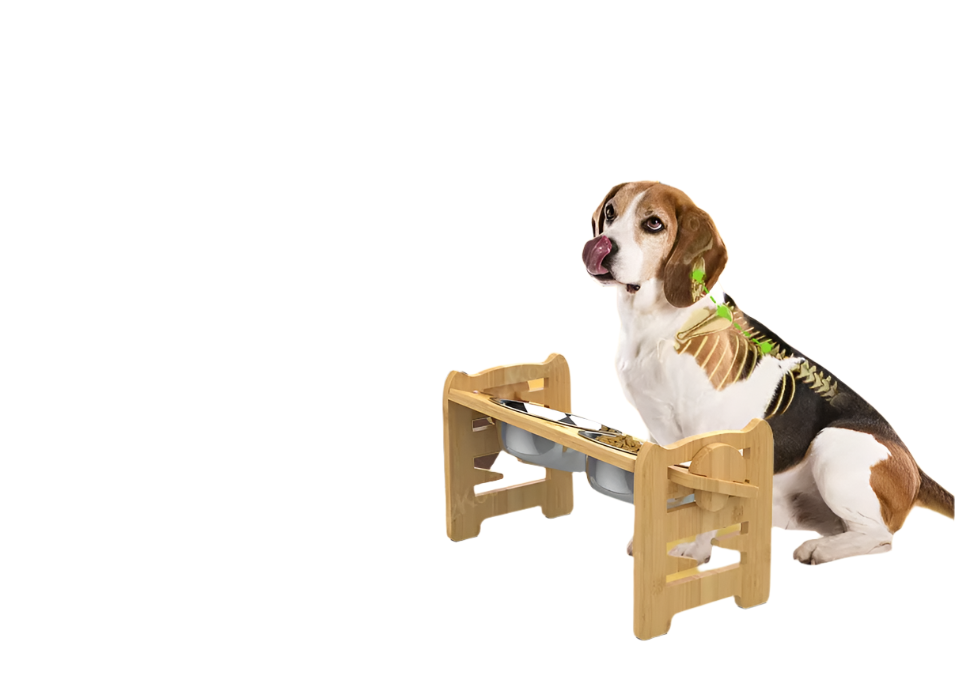 Adjustable height pet feeder with double stainless steel bowls for comfortable dog and cat feeding.