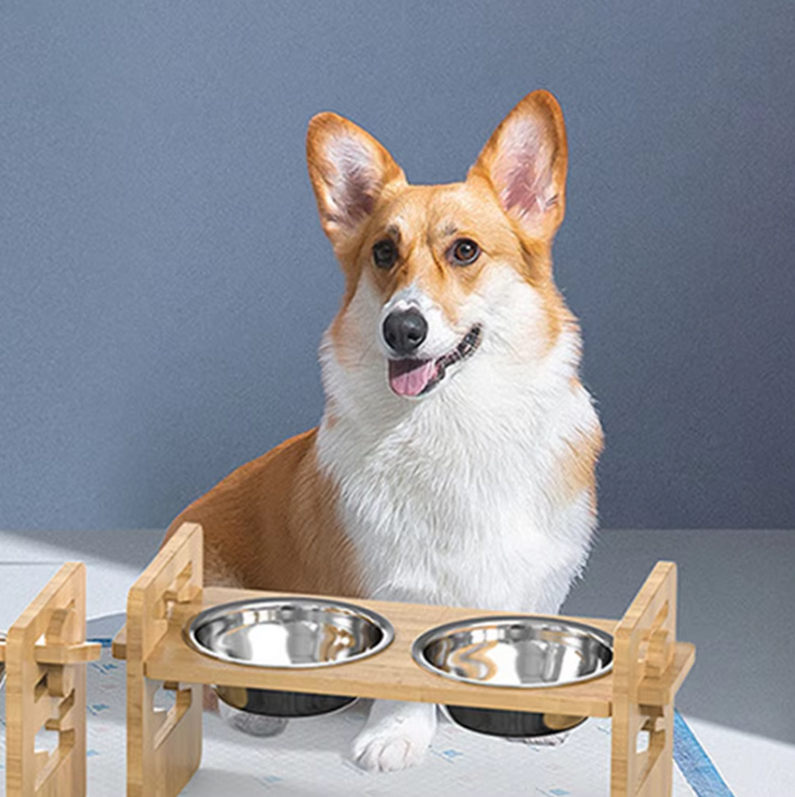 Durable elevated pet food and water bowls, stainless steel construction for hygiene and longevity.