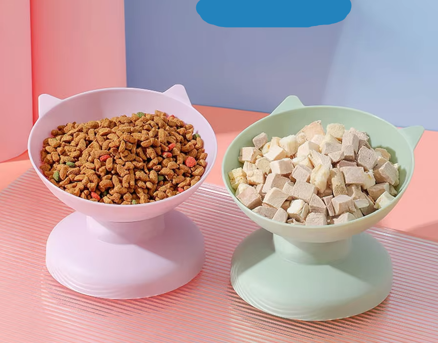 White elevated cat bowl with solid base, comfortable eating position for pet health and digestion.